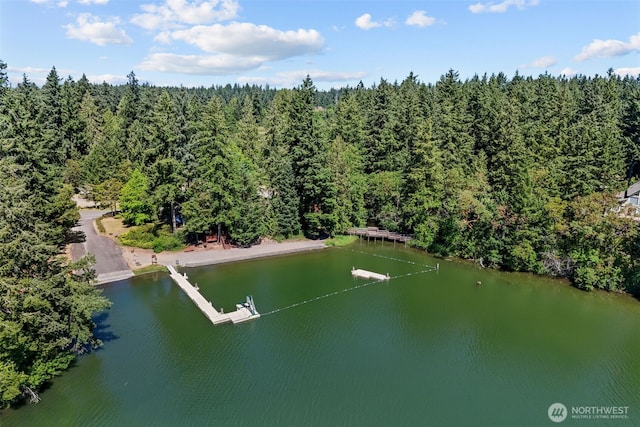 17504 Loop Ln SE, Yelm, WA 98597 - bird's eye view of a forest and a large body of water