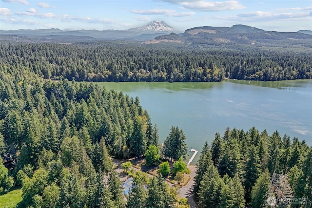 17504 Loop Ln SE, Yelm, WA 98597 - bird's eye view of a heavily wooded area and a water and mountain view