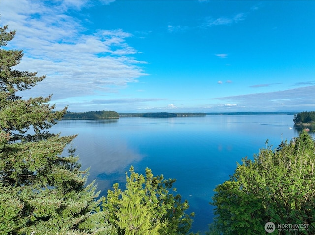 9744 Cascade Loop NE, Olympia, WA 98516 - water view