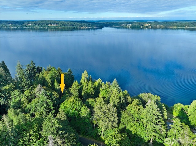 9744 Cascade Loop NE, Olympia, WA 98516 - bird's eye view of a large body of water and a heavily wooded area