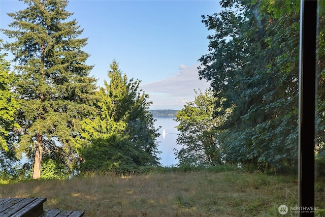 9744 Cascade Loop NE, Olympia, WA 98516 - water view