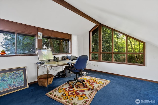 9744 Cascade Loop NE, Olympia, WA 98516 - home office with carpet and vaulted ceiling