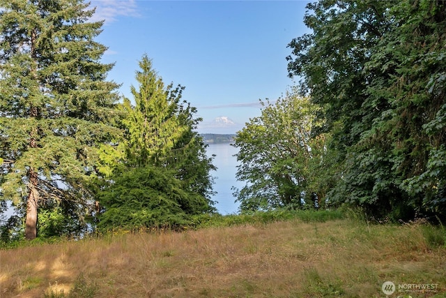 9744 Cascade Loop NE, Olympia, WA 98516 - water view