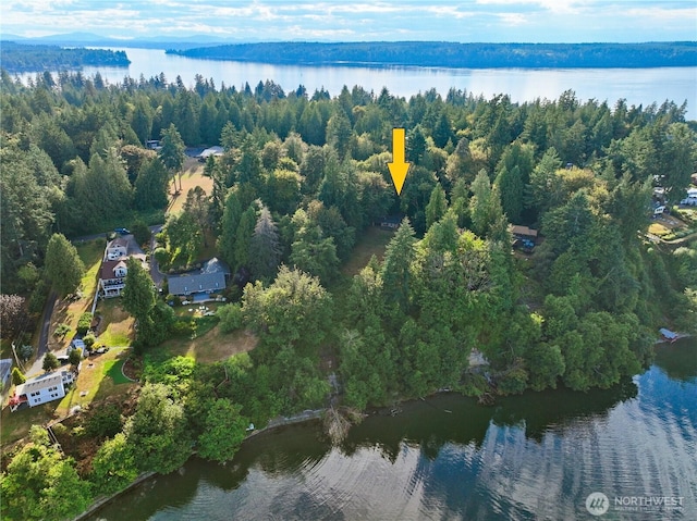 9744 Cascade Loop NE, Olympia, WA 98516 - view of property location with a large body of water
