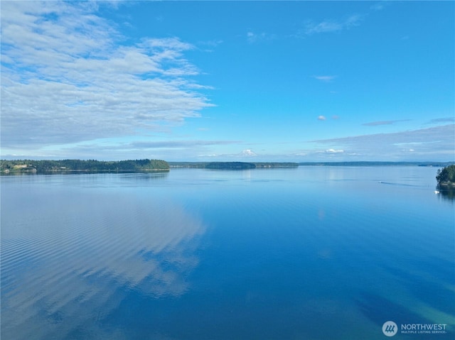 9744 Cascade Loop NE, Olympia, WA 98516 - water view