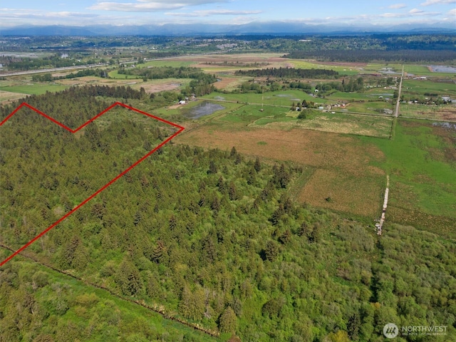 0 43rd Ave SE, Everett, WA 98201 - photo 11