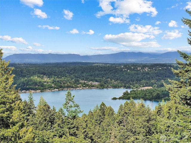 18608 SE 58th St, Issaquah, WA 98027 - water view with a mountain backdrop