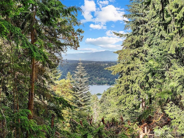 18608 SE 58th St, Issaquah, WA 98027 - water view featuring a forest and a mountainous background