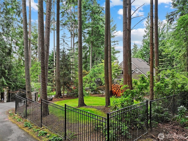18608 SE 58th St, Issaquah, WA 98027 - view of yard