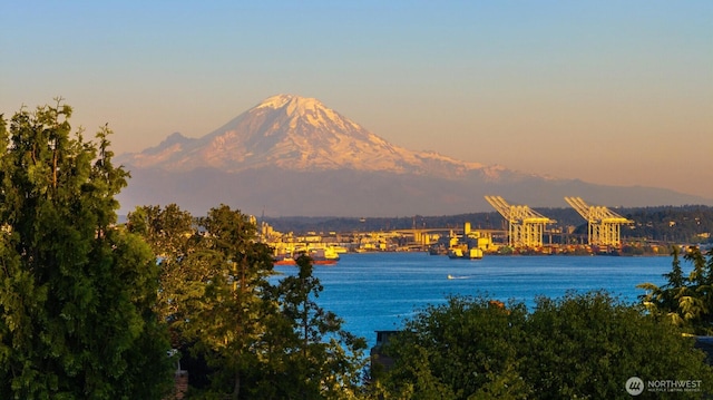 1915 35th Ave W, Seattle, WA 98199 - water view featuring mountains