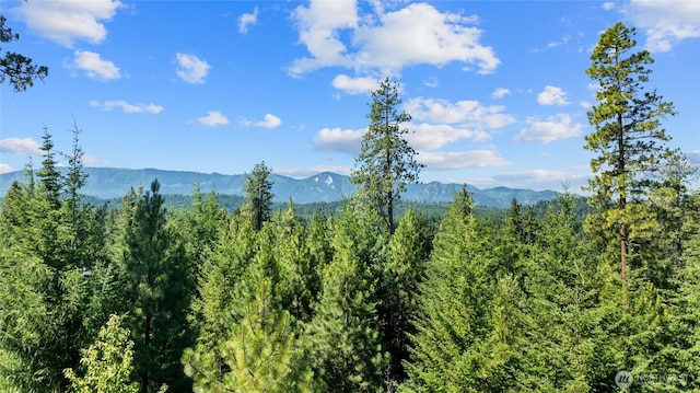3690 Swiftwater Dr, Cle Elum, WA 98922
