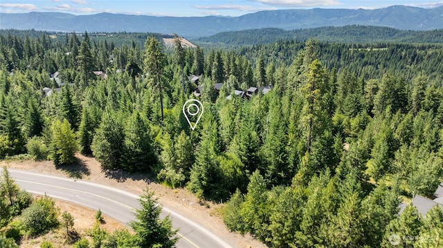3690 Swiftwater Dr, Cle Elum, WA 98922