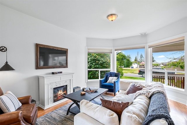 807 24th St, Anacortes, WA 98221 - living room with wood finished floors and a glass covered fireplace