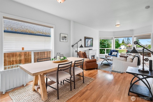 807 24th St, Anacortes, WA 98221 - dining area with radiator heating unit, light wood-style floors, and a glass covered fireplace