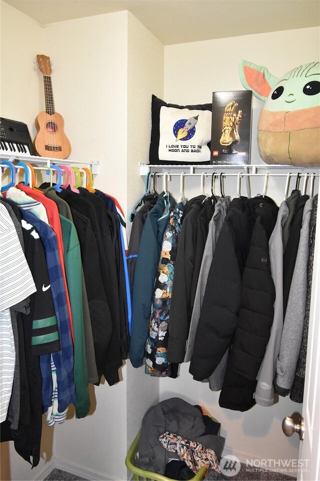 4201 Mckinley St NE, Lacey, WA 98516 - view of walk in closet