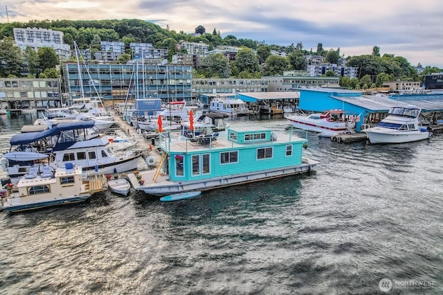 1818 Westlake Ave N Unit D-33, Seattle, WA 98109 - bird's eye view of a large body of water