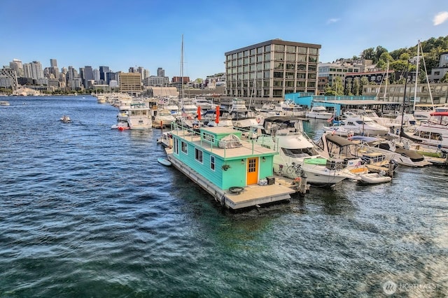 1818 Westlake Ave N Unit D-33, Seattle, WA 98109 - dock featuring a water view and a skyline view