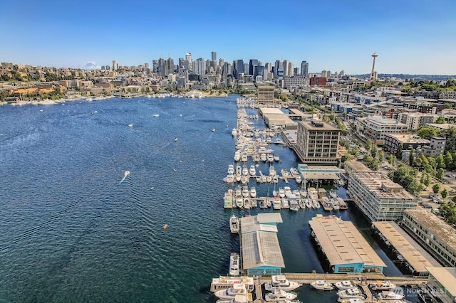 1818 Westlake Ave N Unit D-33, Seattle, WA 98109 - bird's eye view of skyline and a nearby body of water