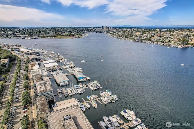 1818 Westlake Ave N Unit D-33, Seattle, WA 98109 - view of urban area featuring a nearby body of water