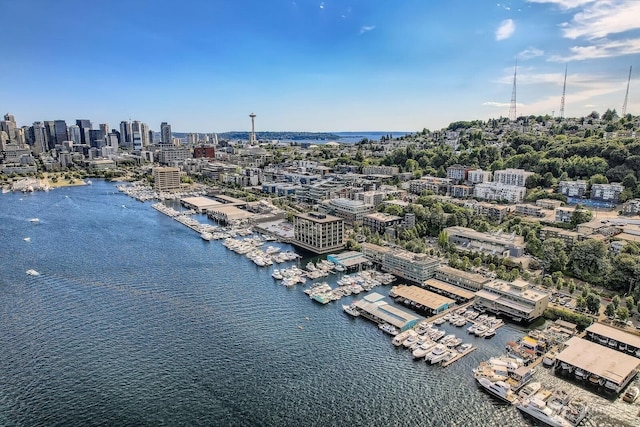 1818 Westlake Ave N Unit D-33, Seattle, WA 98109 - bird's eye view of a nearby body of water, city skyline, and numerous boat docks