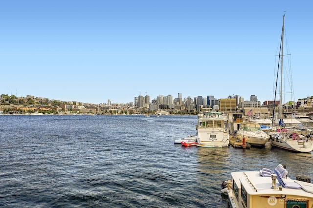 1818 Westlake Ave N Unit D-33, Seattle, WA 98109 - dock with a water view and a skyline view