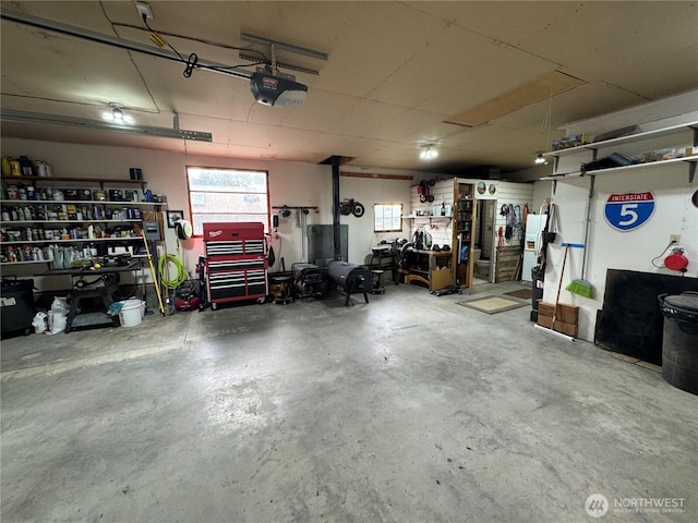 8 Iris Ln, Twisp, WA 98856 - garage with a garage door opener