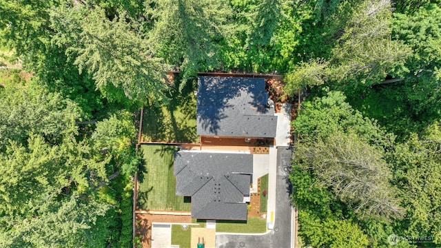 1542 213th Ct NE, Sammamish, WA 98074 - view from above of property with property parcel outlined