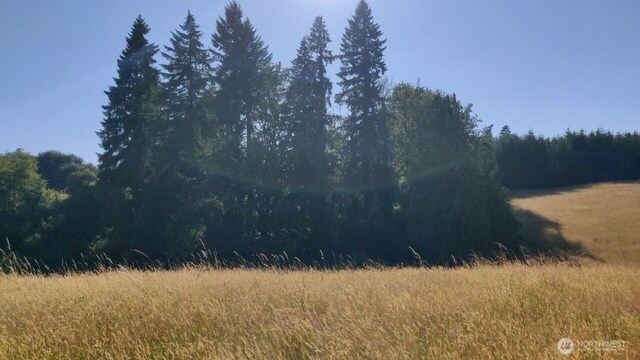 4335 Pleasant Hill Rd, Kelso, WA 98626 - photo 32