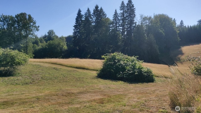 4335 Pleasant Hill Rd, Kelso, WA 98626 - photo 33