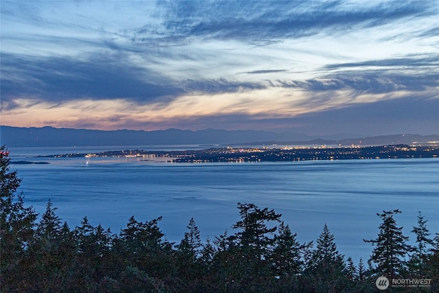 133 Rockledge Rd Unit A, Friday Harbor, WA 98250