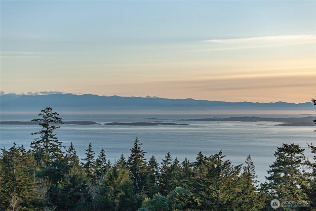 133 Rockledge Rd Unit A, Friday Harbor, WA 98250