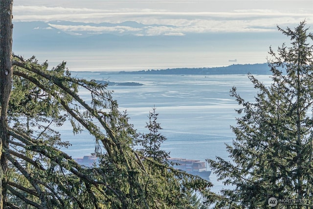 133 Rockledge Rd Unit A, Friday Harbor, WA 98250