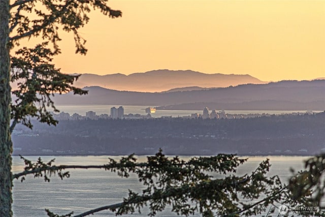 133 Rockledge Rd Unit A, Friday Harbor, WA 98250