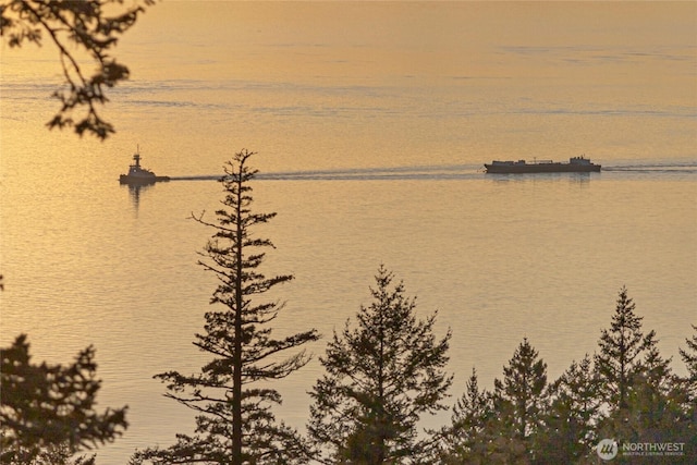 133 Rockledge Rd Unit A, Friday Harbor, WA 98250