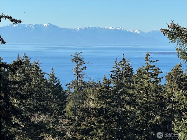 133 Rockledge Rd Unit A, Friday Harbor, WA 98250