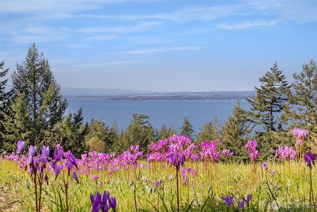 133 Rockledge Rd Unit A, Friday Harbor, WA 98250