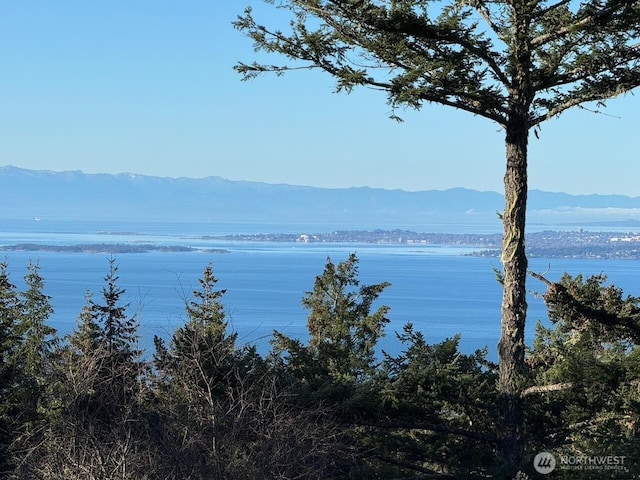 133 Rockledge Rd Unit A, Friday Harbor, WA 98250
