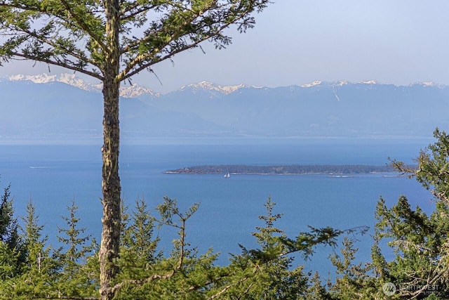 133 Rockledge Rd Unit A, Friday Harbor, WA 98250