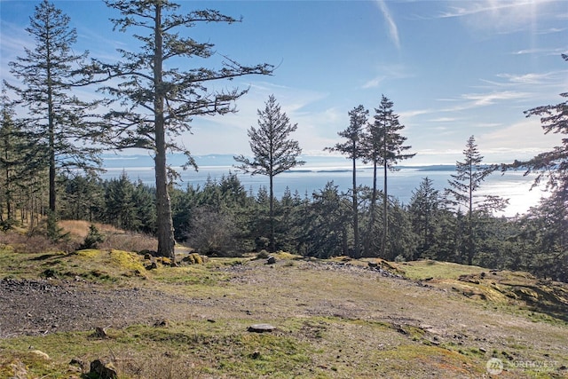 133 Rockledge Rd Unit A, Friday Harbor, WA 98250