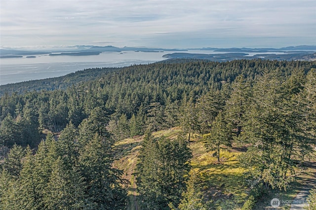 133 Rockledge Rd Unit A, Friday Harbor, WA 98250