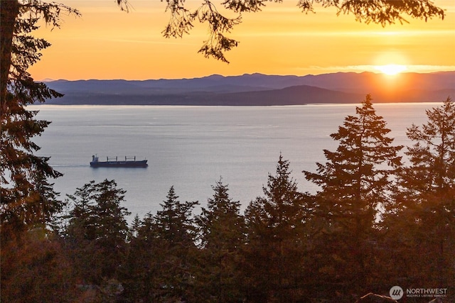 133 Rockledge Rd Unit A, Friday Harbor, WA 98250