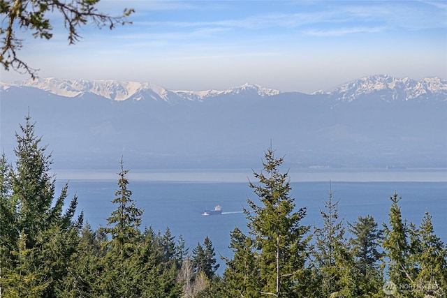 133 Rockledge Rd Unit A, Friday Harbor, WA 98250