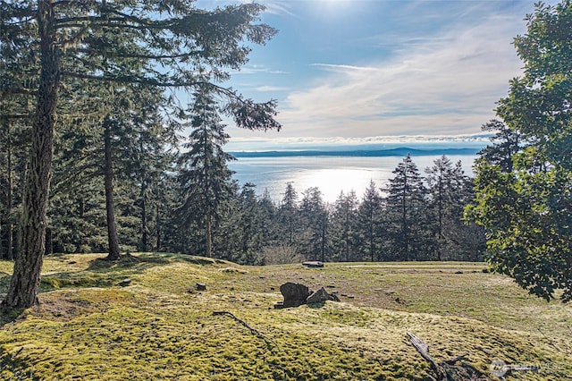 133 Rockledge Rd Unit A, Friday Harbor, WA 98250