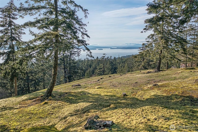 133 Rockledge Rd Unit A, Friday Harbor, WA 98250