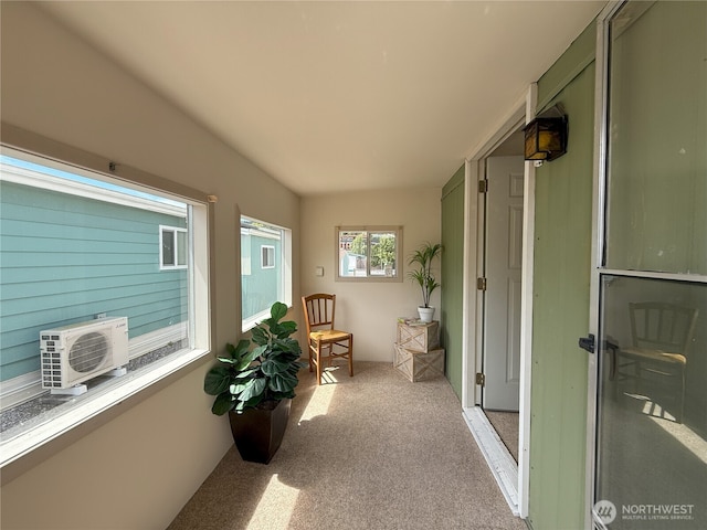 1200 Lincoln St Unit 418, Bellingham, WA 98229 - hallway featuring carpet floors