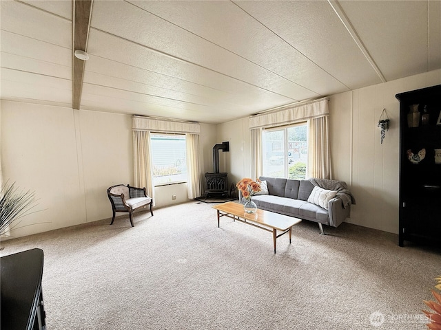 1200 Lincoln St Unit 418, Bellingham, WA 98229 - living room with a wood stove, plenty of natural light, and carpet flooring