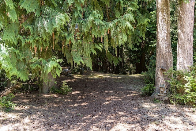 Listing photo 5 - caption unavailable