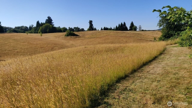4339 Pleasant Hill Rd, Kelso, WA 98626 - photo 2