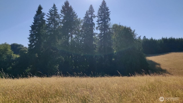 4339 Pleasant Hill Rd, Kelso, WA 98626 - photo 3