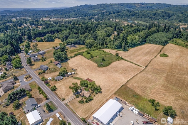 4339 Pleasant Hill Rd, Kelso, WA 98626 - photo 6